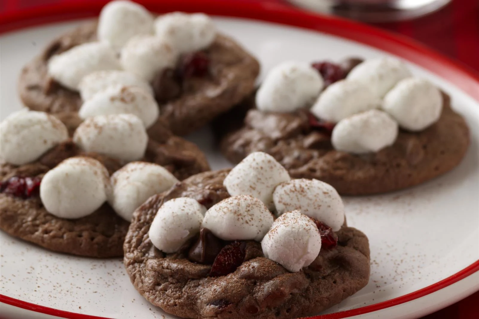 Santa's Hot Cocoa Cookies