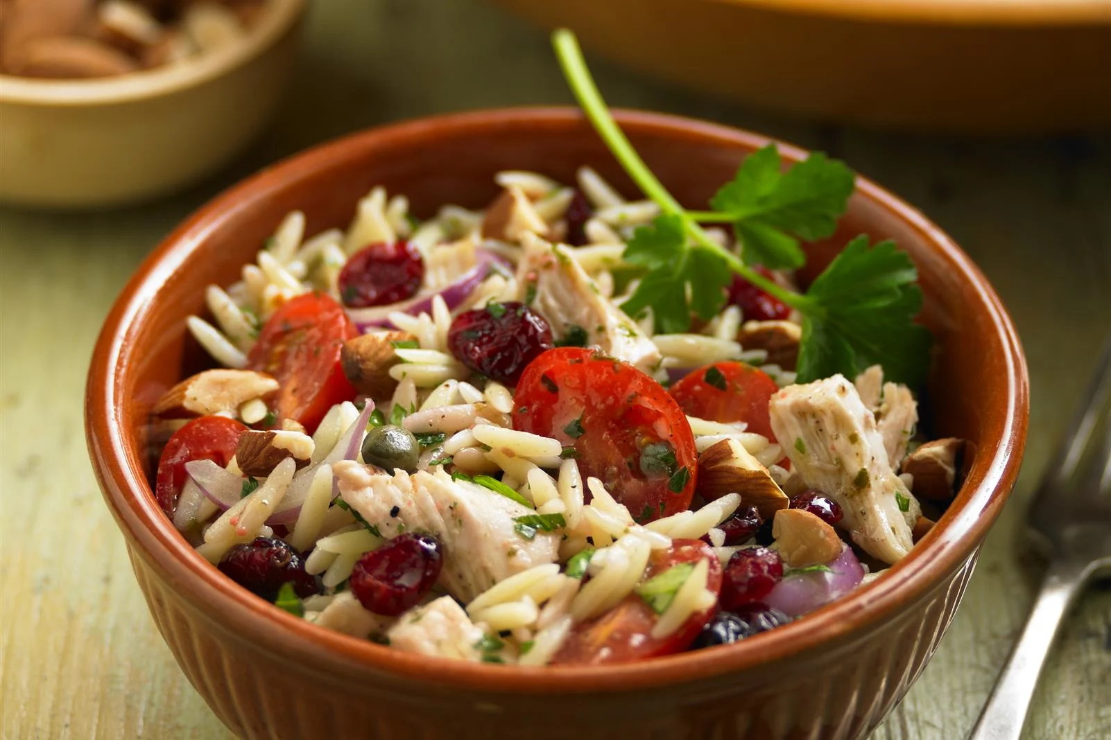 Orzo Chicken and Fresh Basil Salad