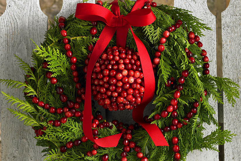 Cranberry Holiday Wreath